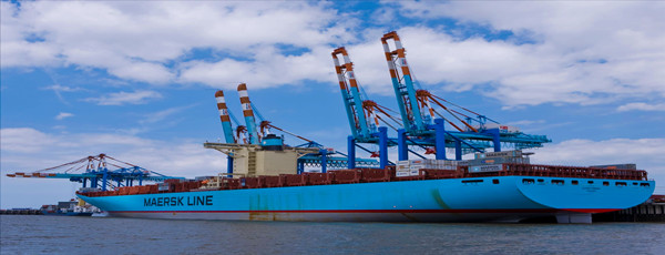 堅果進口報關(guān)代理