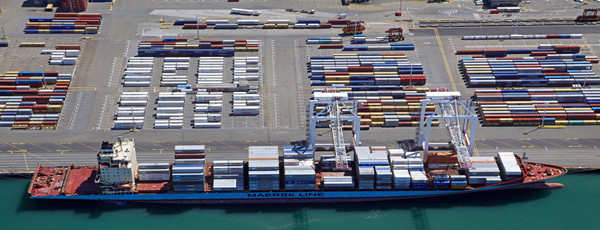 冷凍魚(yú)進(jìn)口報(bào)關(guān)