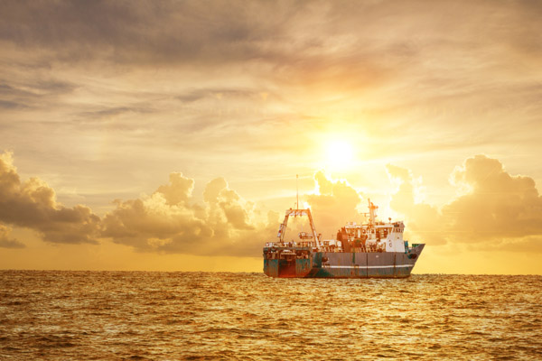 中集世聯達物流服務(上海)有限公司