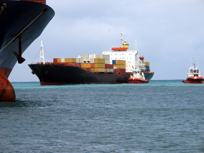 寧波進口海參報關 寧波進口海參報關