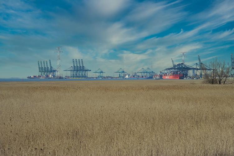 陜西一般貿(mào)易進(jìn)出口