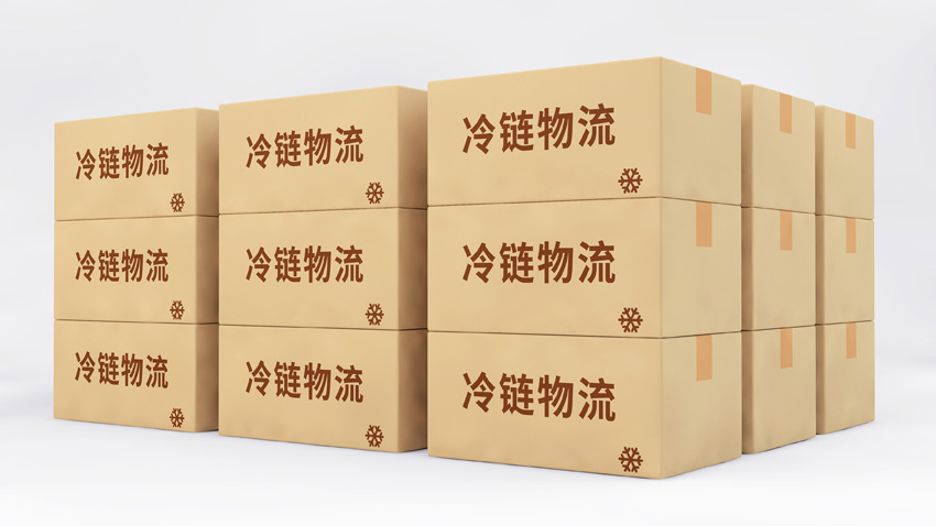 寧波進口冷凍蝦報關(guān)行