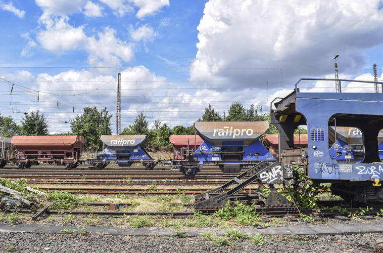 一般貿(mào)易進出口權(quán)證 一般貿(mào)易進出口權(quán)證