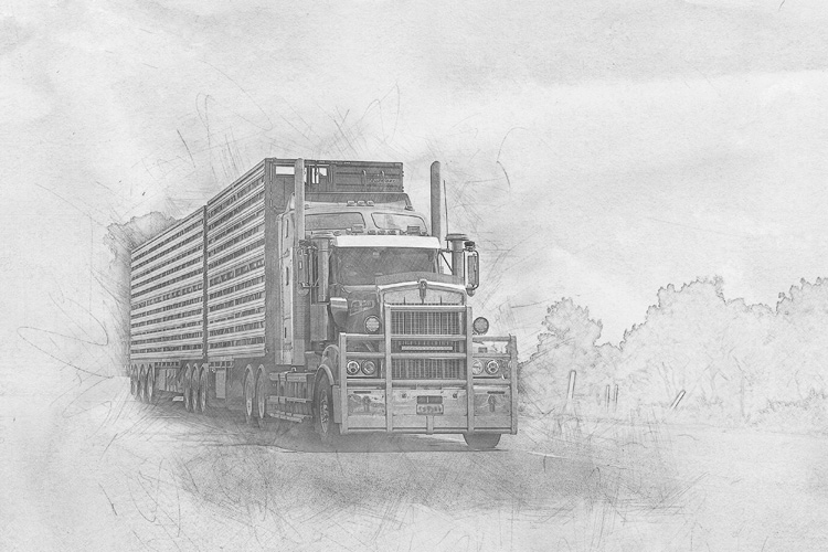 一般貿易進出口的特征 一般貿易進出口的特征