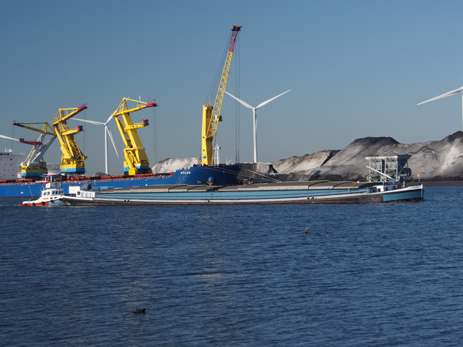 陜西一般貿易進出口代理