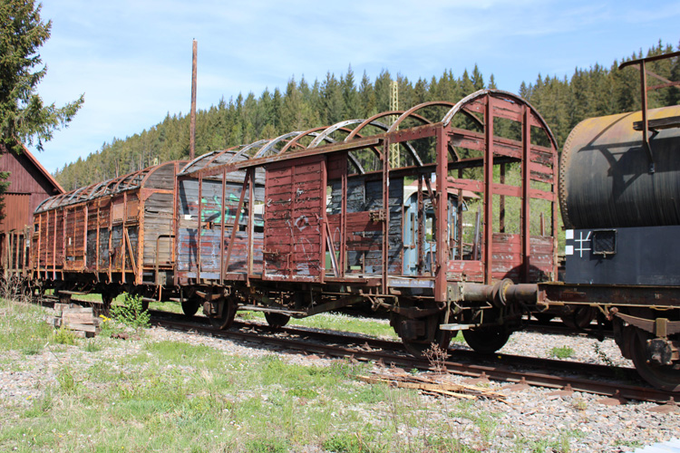 上海報關公司名字