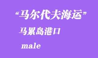 馬爾代夫海運港口:馬累島(male)港口